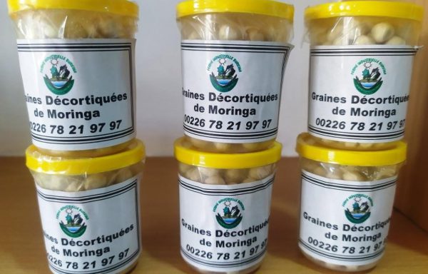 Graines décortiquées de Moringa